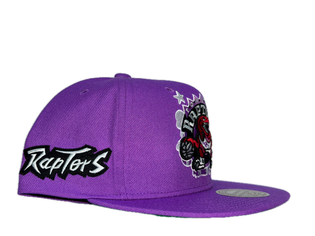 New Era Toronto Raptors