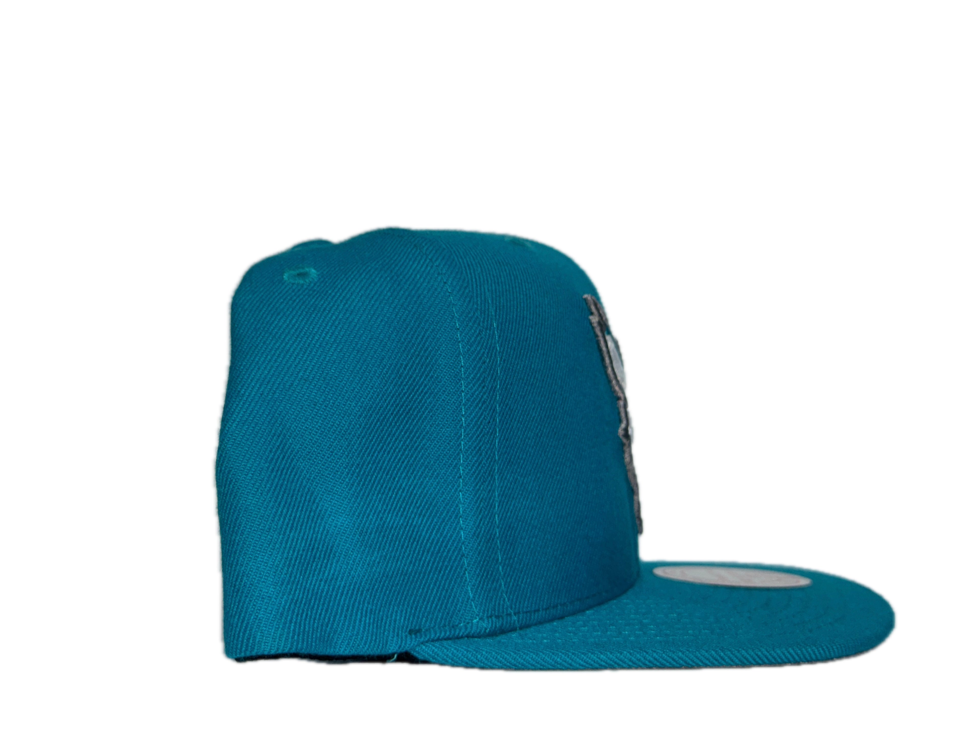 M&N Charlotte Hornets