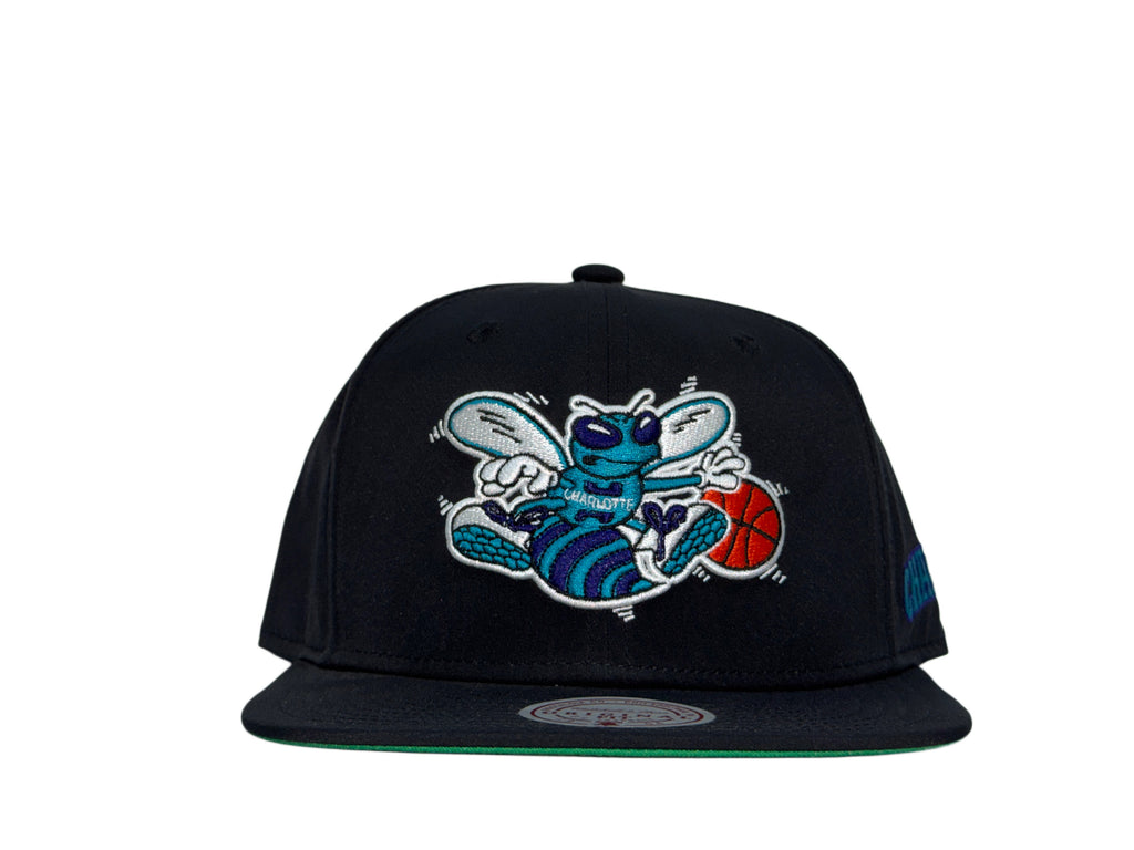 M&N Charlotte Hornets