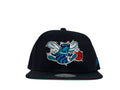 M&N Charlotte Hornets