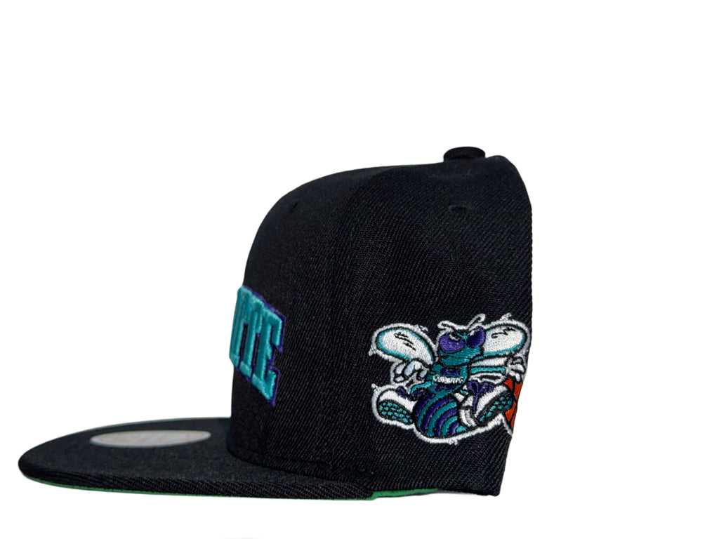 M&N Charlotte Hornets