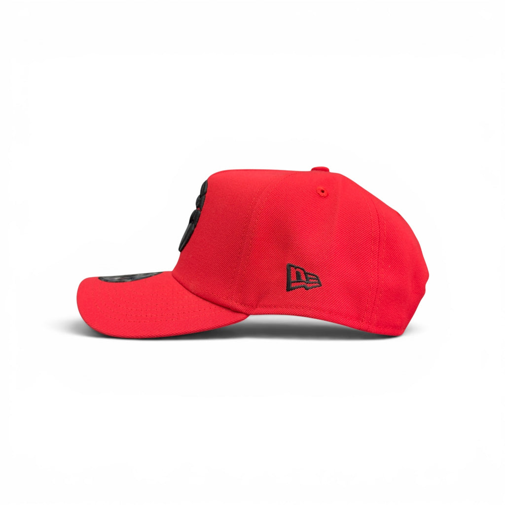 New Era 9FORTY Toronto Raptors