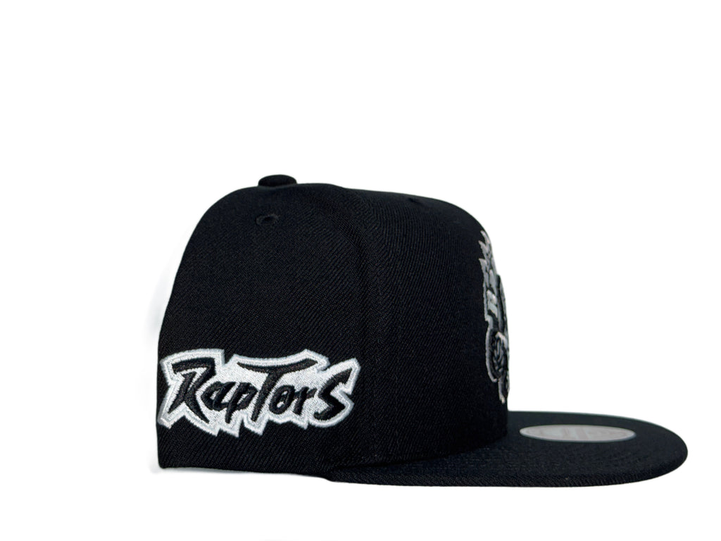 M&N Toronto Raptors