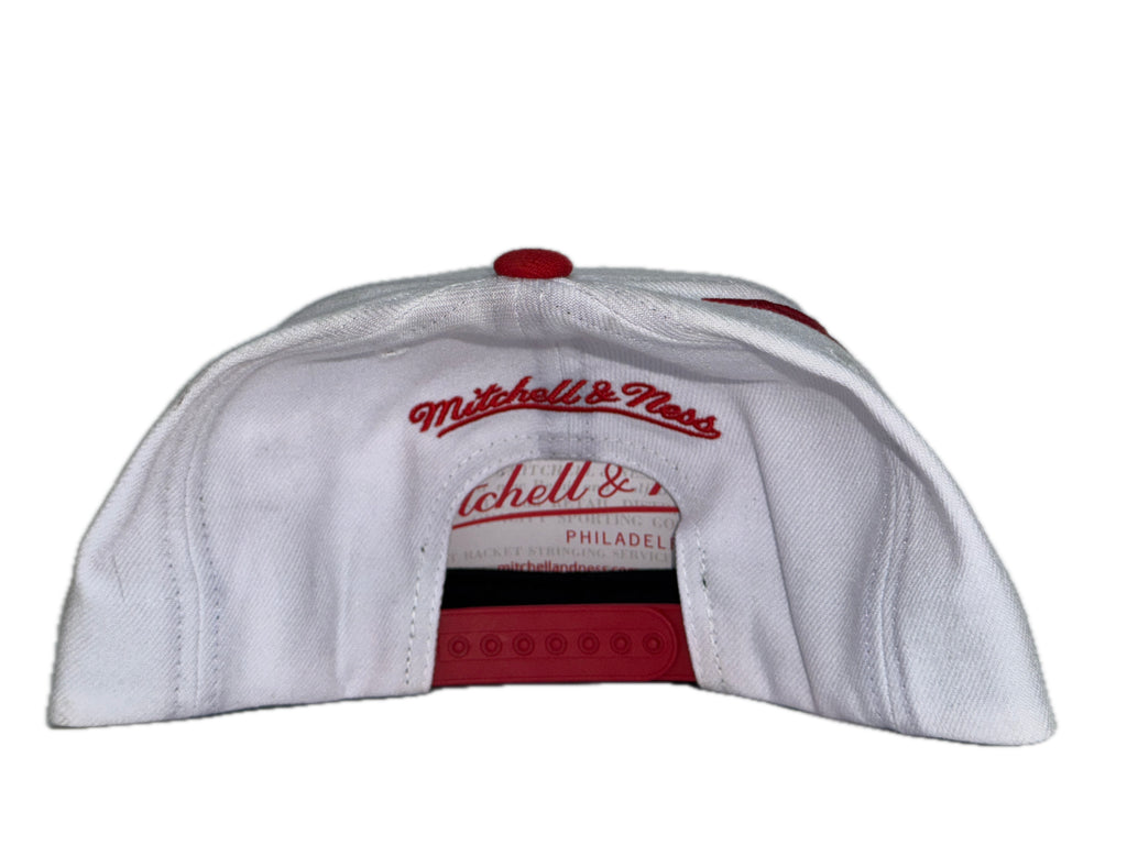 M&N Detroit Red Wings