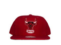 M&N Chicago Bulls
