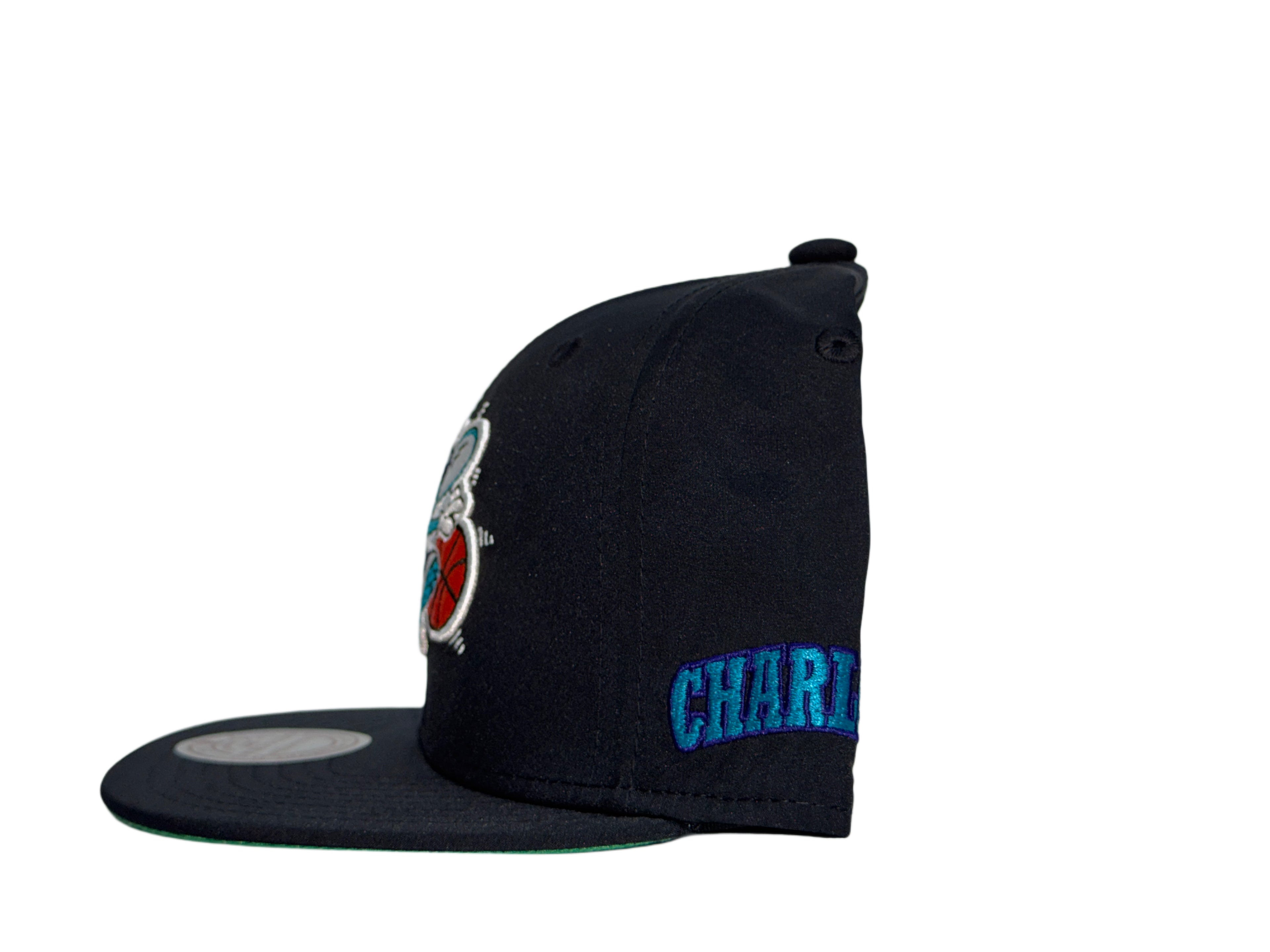 M&N Charlotte Hornets