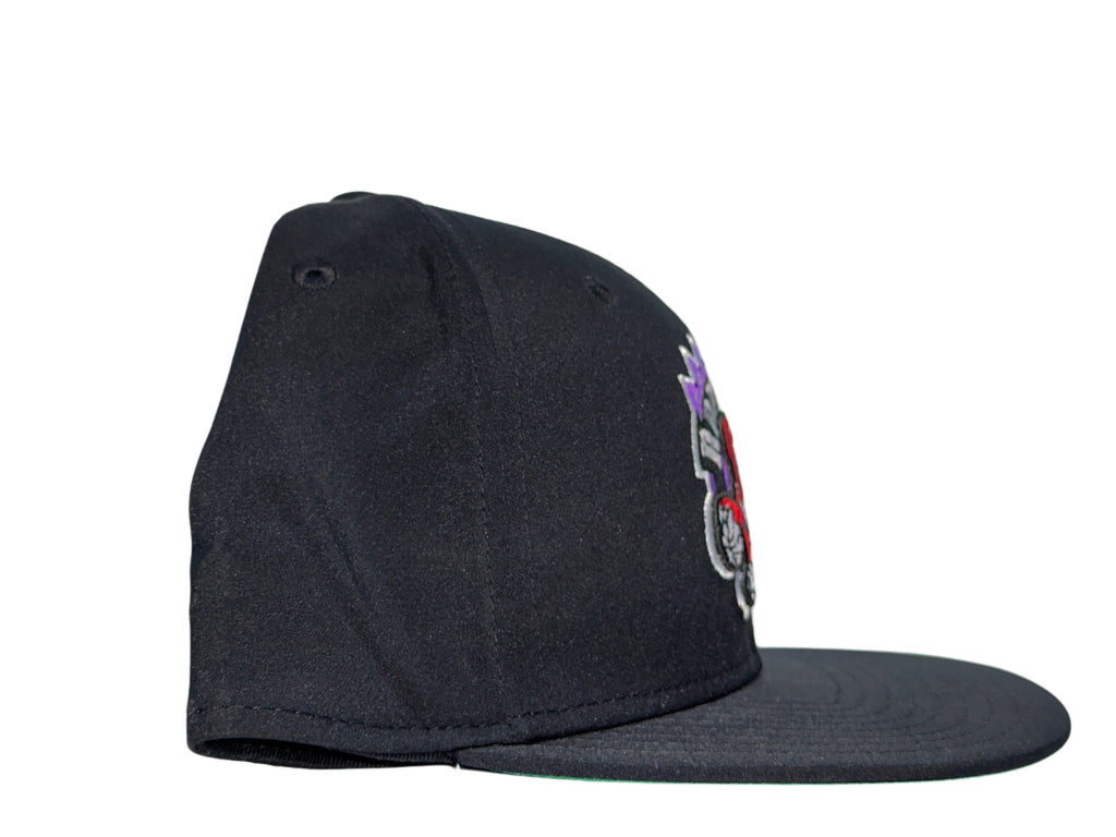 M&N Toronto Raptors