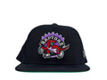 M&N Toronto Raptors