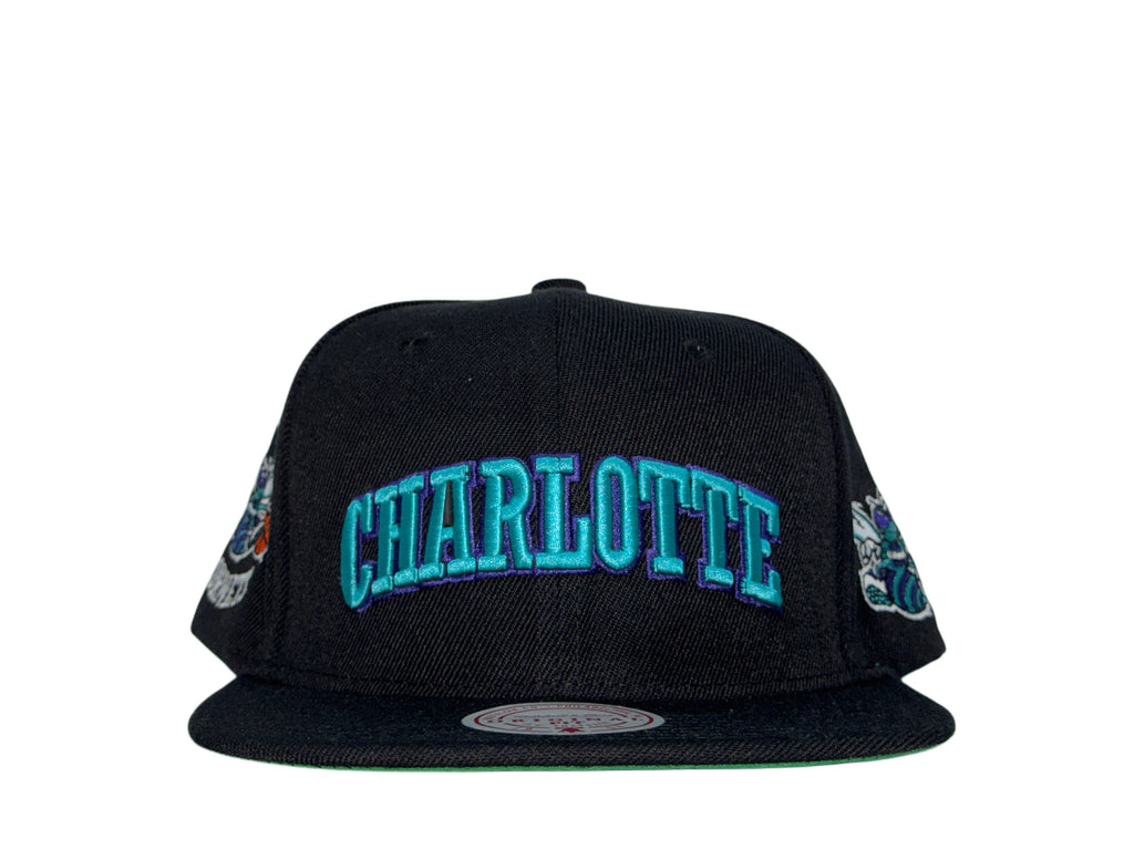 M&N Charlotte Hornets