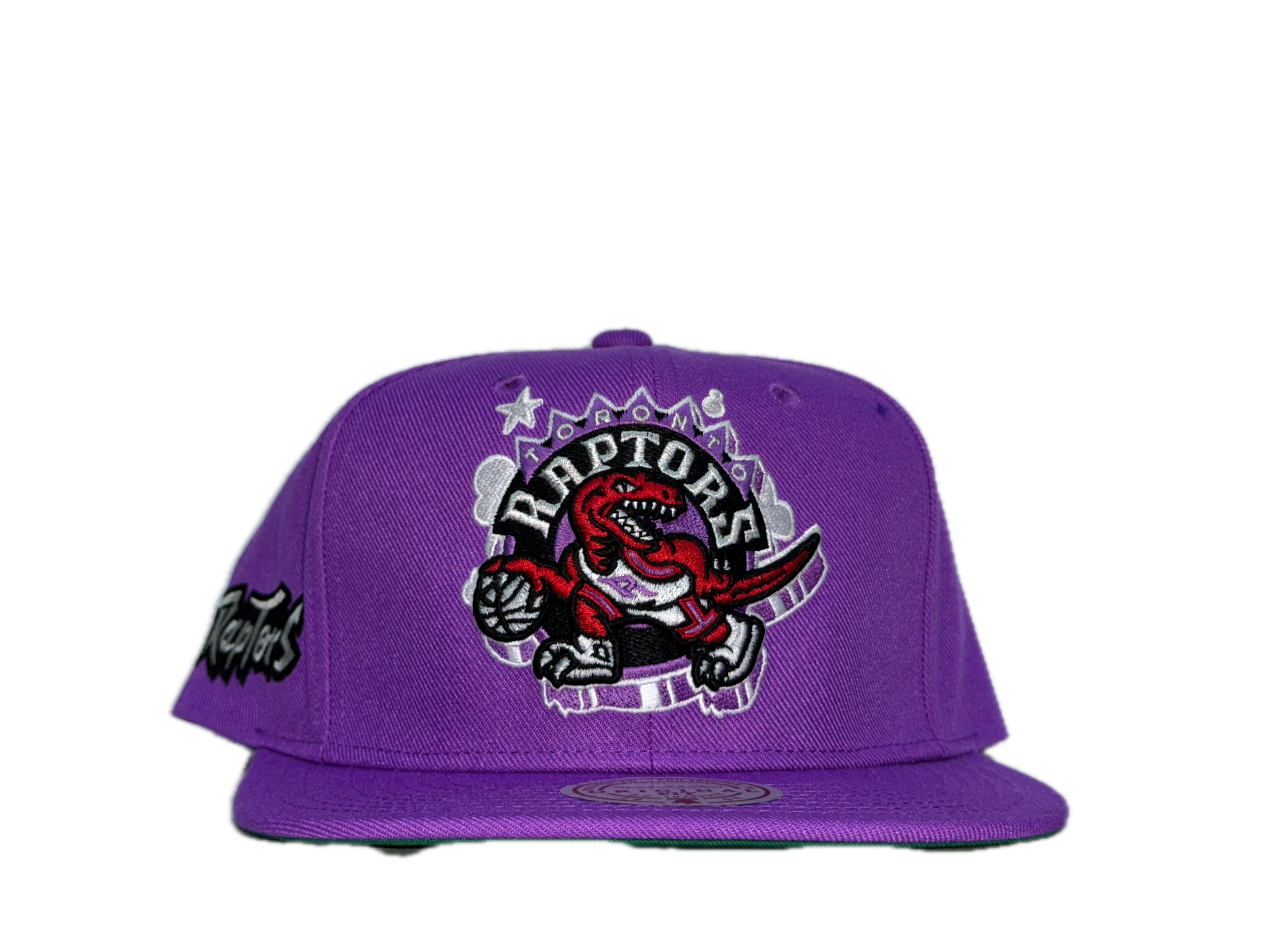 New Era Toronto Raptors