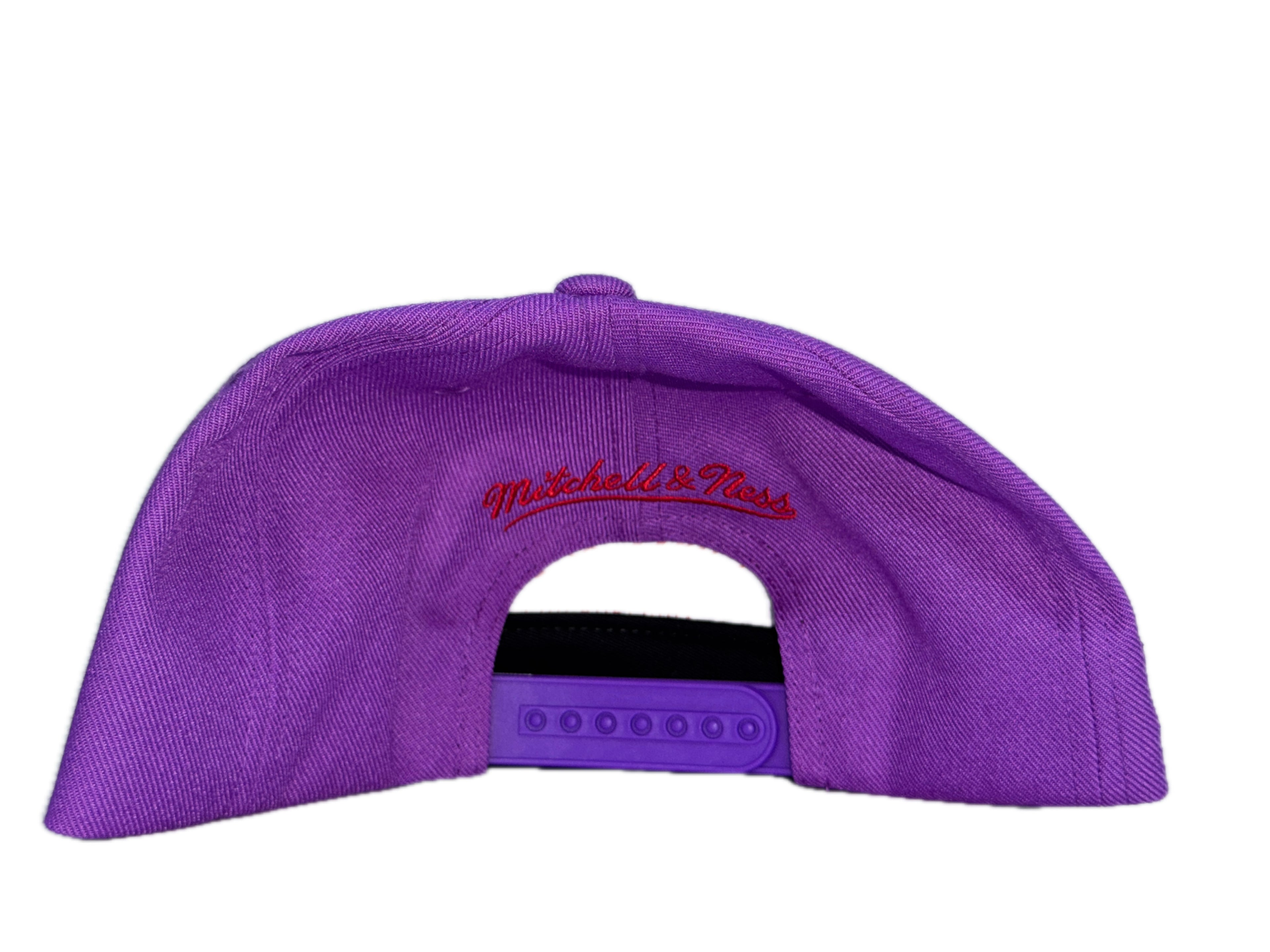 New Era Toronto Raptors