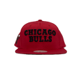 M&N Chicago Bulls