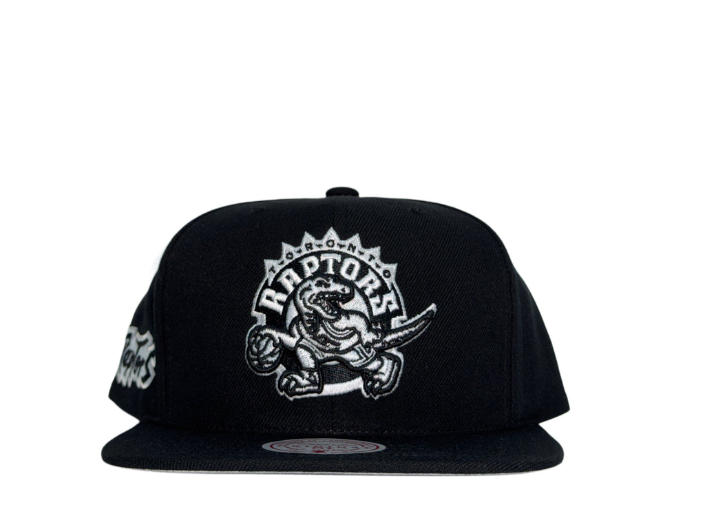 M&N Toronto Raptors